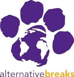 Alternative breaks logo