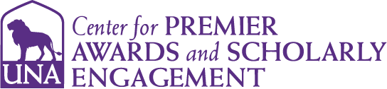 premier-national-international-awards logo 3