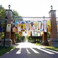 Student Activities and Leadership Development