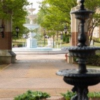 University Case Management