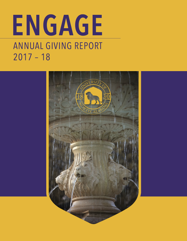 2017 Foundation Annual Giving Report