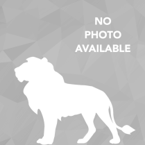 Picture of Garret Keenum.