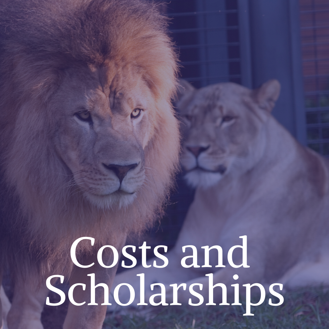 Costs and Scholarships