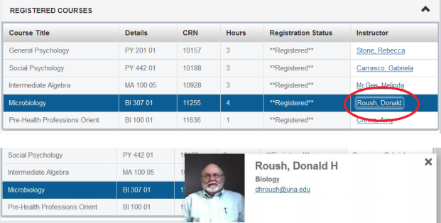 Portal example 10