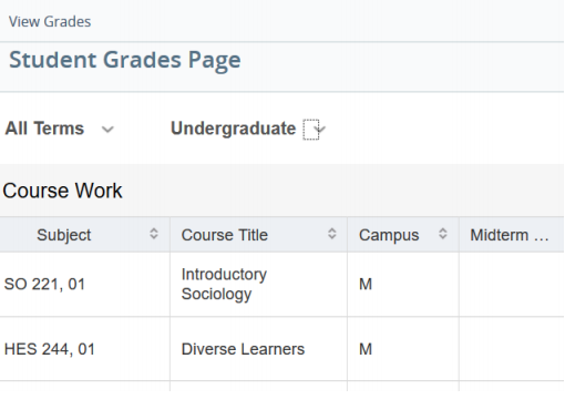 Portal example 12