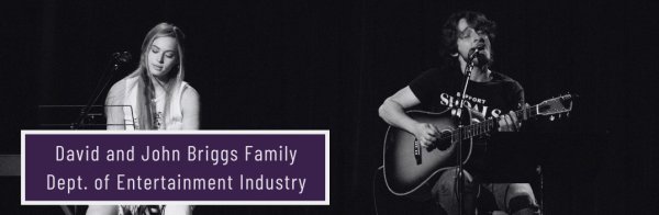 david-and-john-briggs-family-entertainment-industry-website-button.png