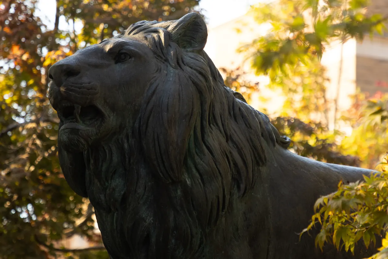 The bronze lion statue on the UNA campus, framed by autumn foliage