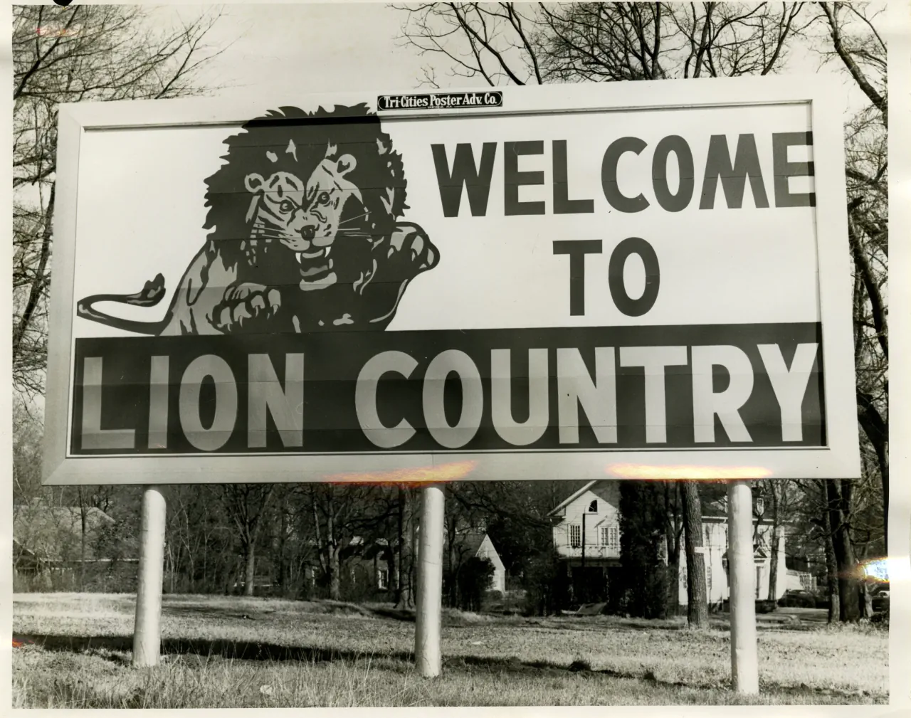 A roadside billboard reading Welcome to Lion Country beside a painted snarling lion, standing on posts in a grass verge with houses behind