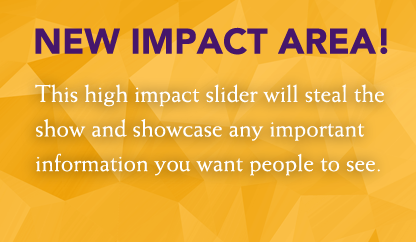 Optional slider on every page!